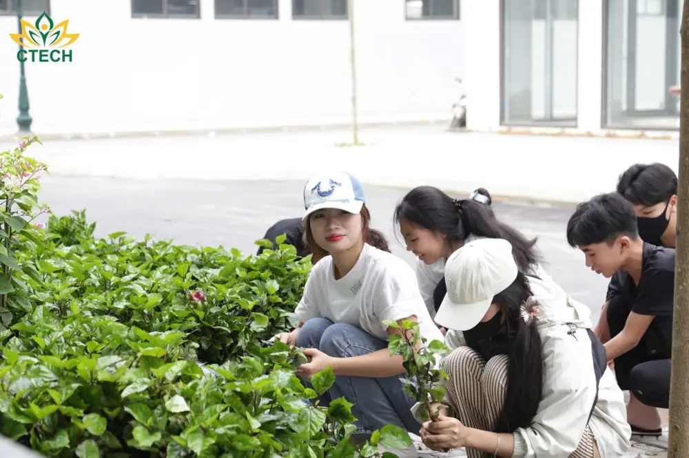 CTECH triển khai phủ xanh khuôn viên trường với hơn 1.500 cây xanh, hướng tới môi trường học tập bền vững